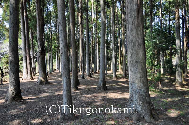 瓜連城の曲輪跡